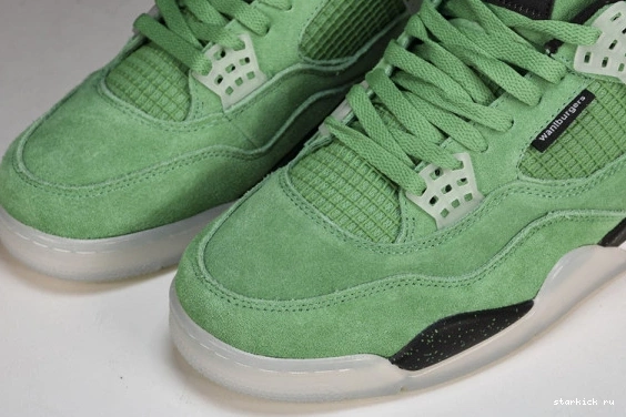 AJ4-904284 4 PE  Air Oregon Duck  Jordan Green AJ4-904284 1114